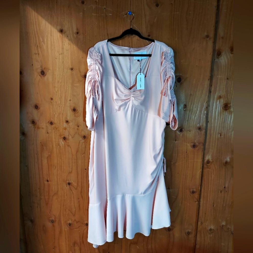 Rodarte x Universal Standard Light Pink Ruched Asymmetrical Midi Dress